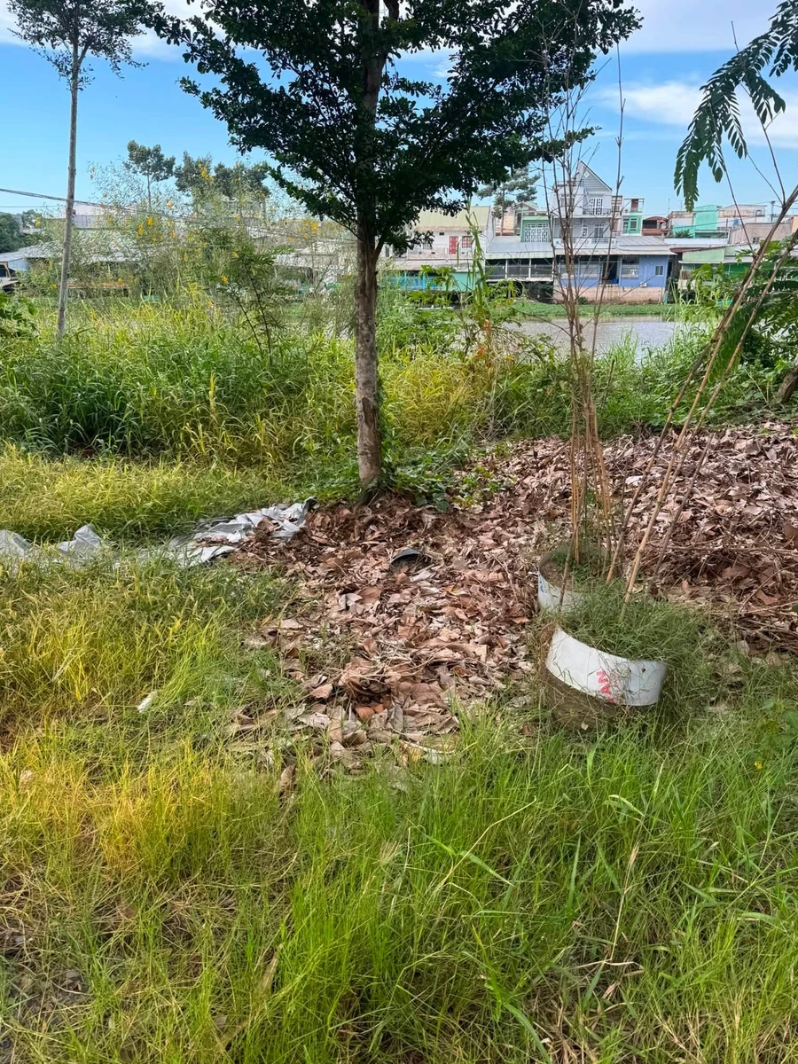 Bán nền đất 81m² đã đổ bê tông, mặt sông, Đồng Tháp - Ảnh 1