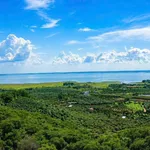 Bán 1.328m² đất vườn La Ngà 689 triệu - Ảnh thu nhỏ 1