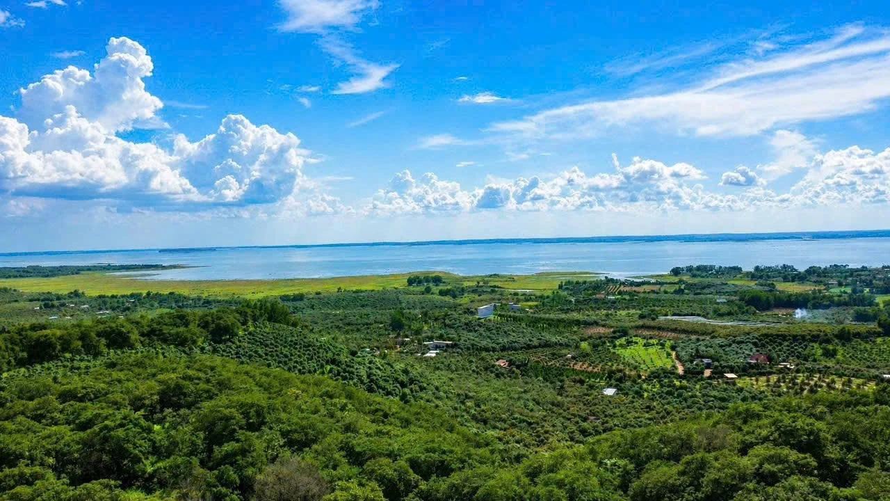 Bán 1.328m² đất vườn La Ngà 689 triệu - Ảnh 1