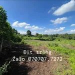 Bán 160m2 đất thổ cư Đá Bạc, mặt tiền 15m - Ảnh thu nhỏ 2