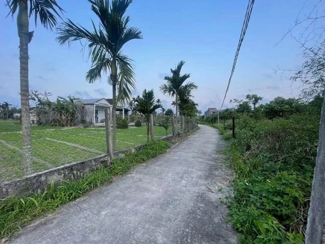 Bán 2 lô nhà phố Độc Lập-Tịnh Ấn Tây, 100m2 mỗi lô - Ảnh 1
