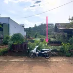 Bán đất 150m² Dương Đình Nghệ, Nam Gia Nghĩa, 750 triệu - Ảnh thu nhỏ 3
