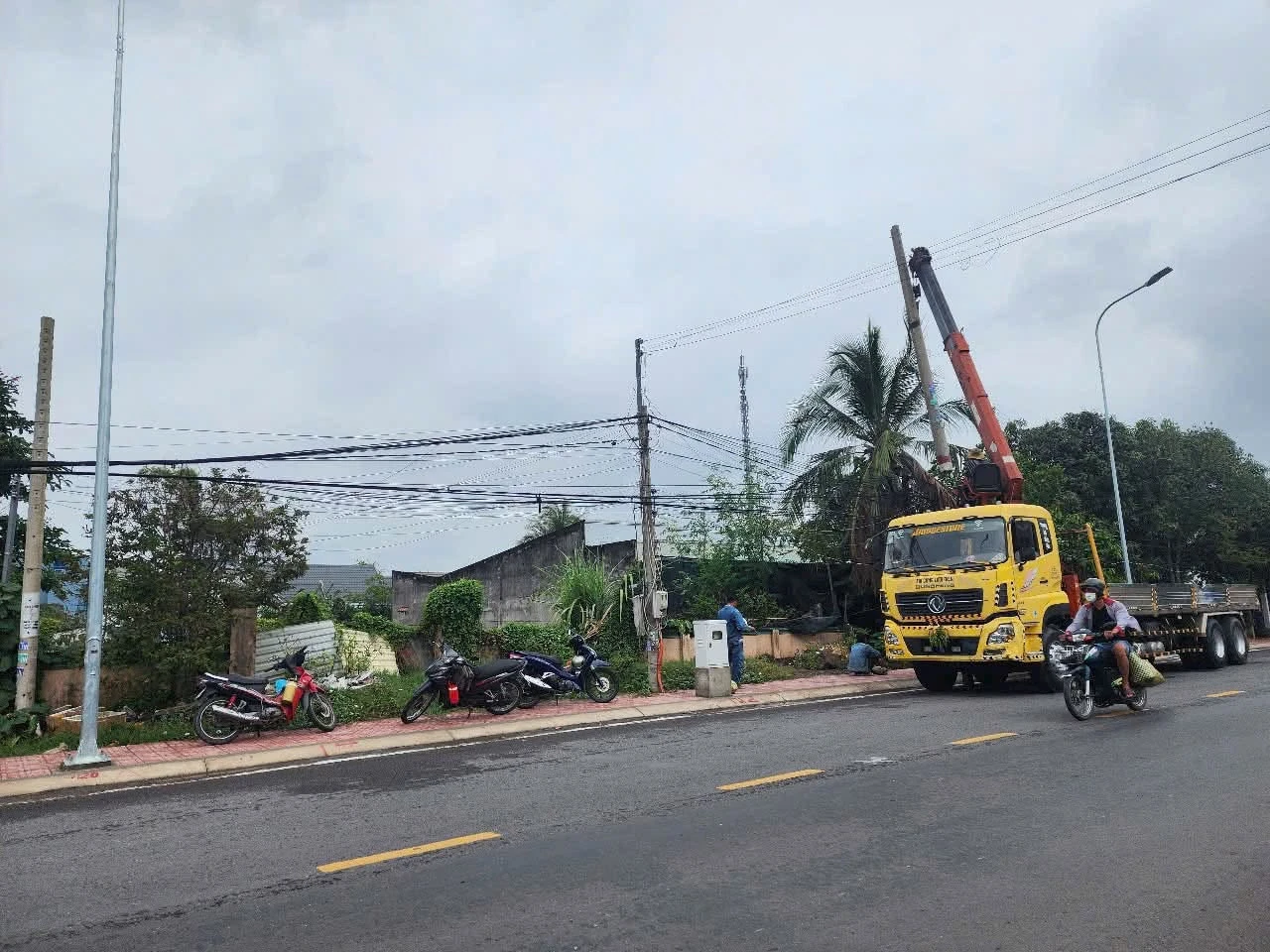 Bán lô đất mặt tiền Tỉnh lộ 835B 819m² Bình Chánh - Ảnh 1