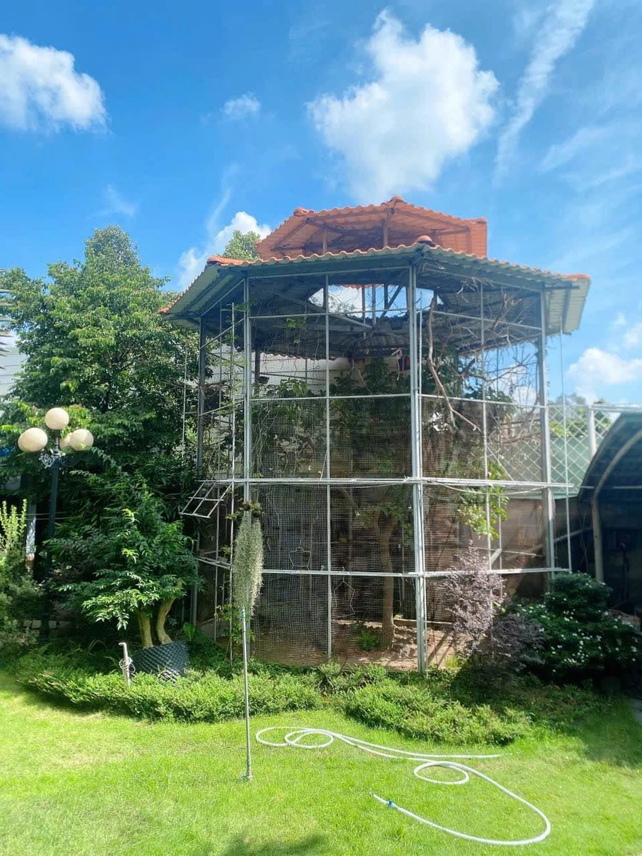 Bán nhà vườn Phú Mỹ 707m² 10,5 tỷ Bình Dương - Ảnh thu nhỏ 3