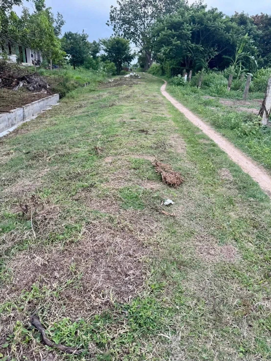 Bán 1000m2 đất ở Hàm Liêm, Bình Thuận, 550 triệu - Ảnh thu nhỏ 5
