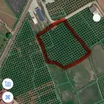 Bán đất 333m² gần Phan Thiết, Bình Thuận giá 3 tỷ 8 - Ảnh thu nhỏ 2