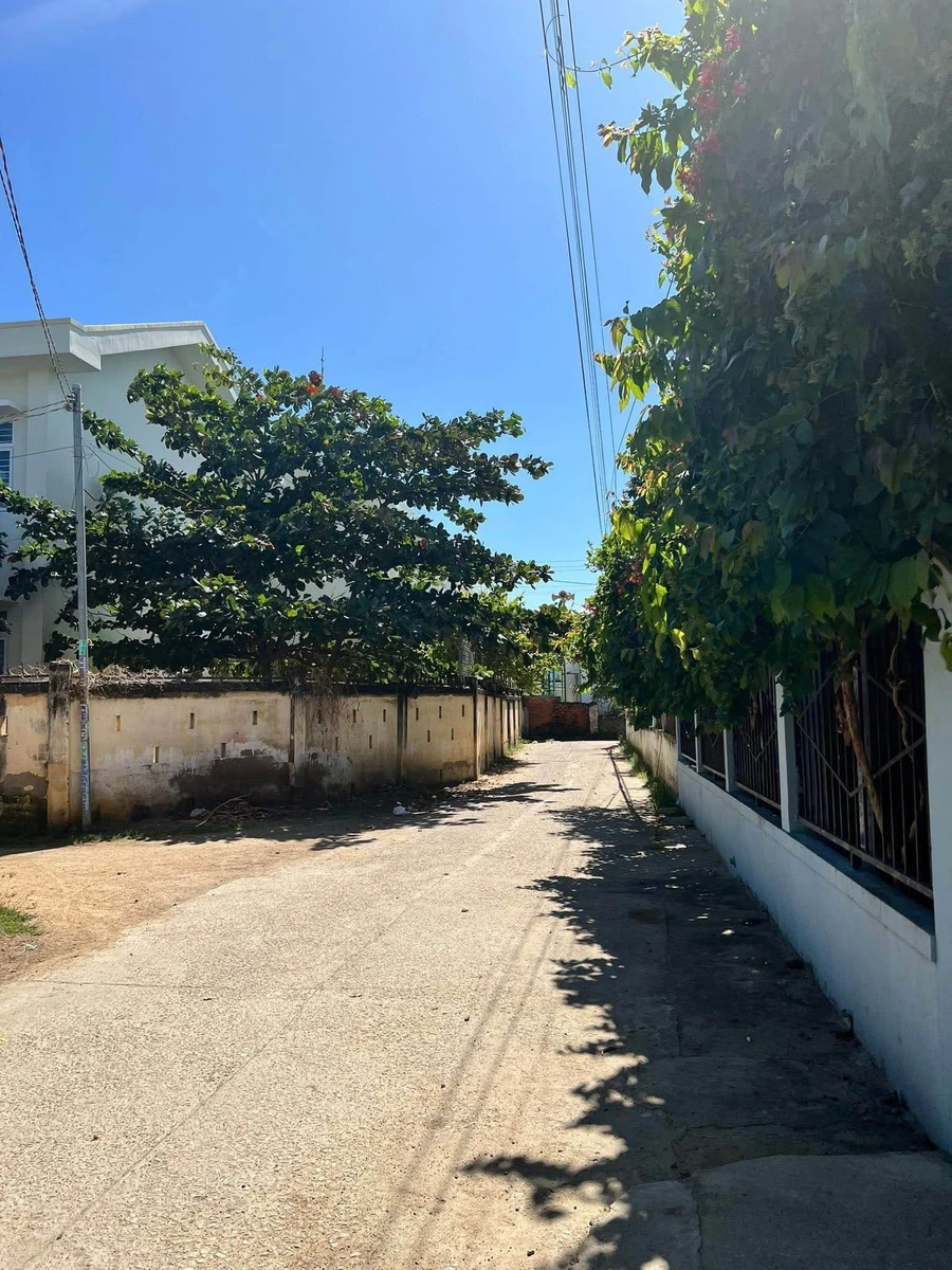 Bán lô đất 253m² CLN cho thổ cư Long Bình 1, Phan Rang - Ảnh thu nhỏ 3