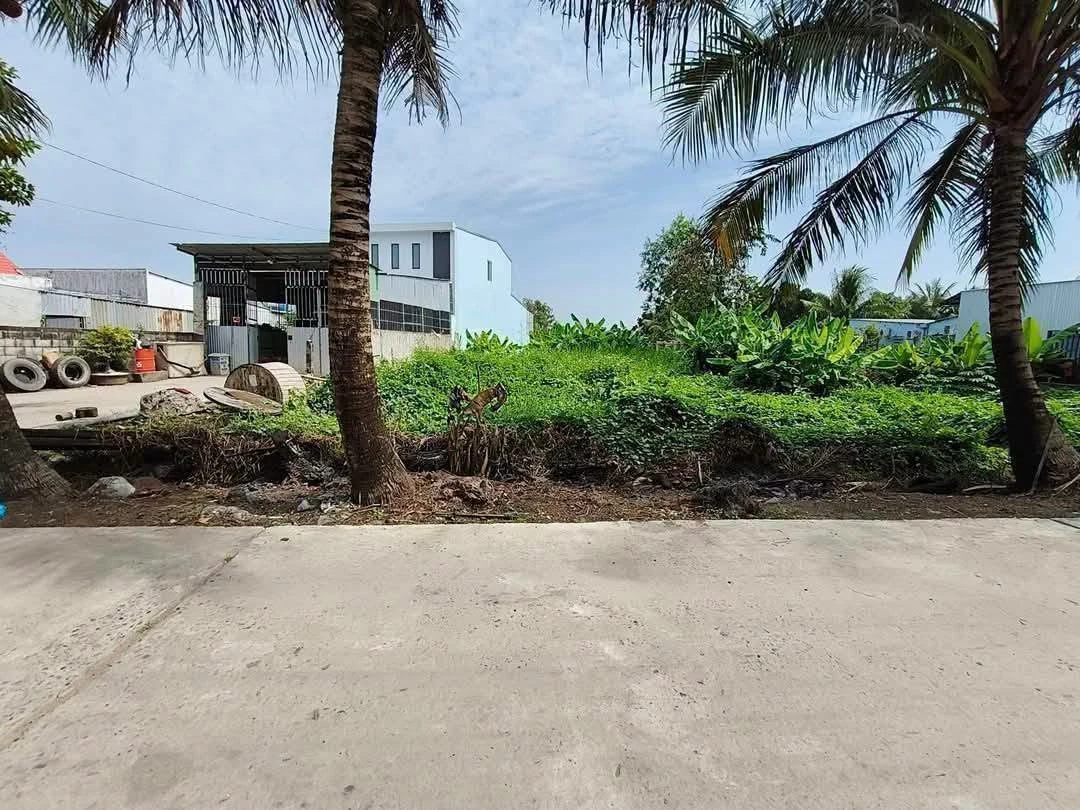 Bán đất mặt tiền Nguyễn Trung Ngạn An Bình 921.8m², 3.5 tỷ - Ảnh thu nhỏ 2