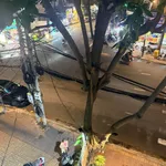 Bán nhà 2 căn 110m² mặt tiền Nam Kì Khởi Nghĩa, 28 tỷ - Ảnh thu nhỏ 2