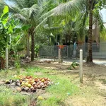 Bán đất Diên Tân Diên Khánh 120m² 440 triệu gần chợ - Ảnh thu nhỏ 5