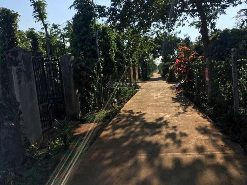Đất 10x25m mặt tiền đường thông có thổ cư - Ảnh thu nhỏ 2