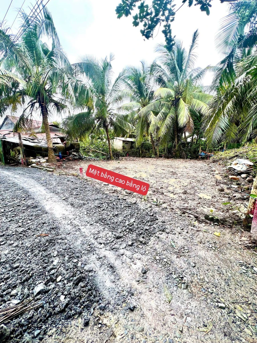 Bán đất nền thổ cư 5x15m (75m2) xã Song Phú, Vĩnh Long giá 220 triệu/nền - Ảnh thu nhỏ 3