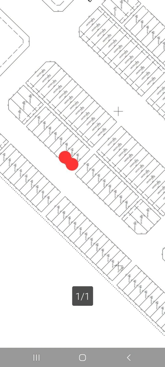 Cho thuê cặp nền 180m² đường D1 Cần Thơ - Ảnh 1