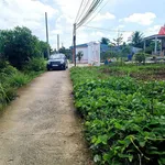 Bán đất nền 140m² Xã Tân Trụ, Tây Ninh 499 triệu - Ảnh thu nhỏ 2
