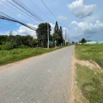 Bán đất mặt tiền Nguyễn Văn Dương Đức Hoà, 190m2, 2tỷ4 - Ảnh thu nhỏ 2