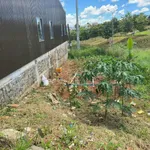Bán đất 50m² Tổ 5 Nghĩa Phú Nhà Bè, giá 1 tỷ 200 triệu - Ảnh thu nhỏ 3