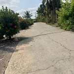 Bán đất nền 540 m² tại Tây Ninh, giá 2.5 tỷ - Ảnh thu nhỏ 1