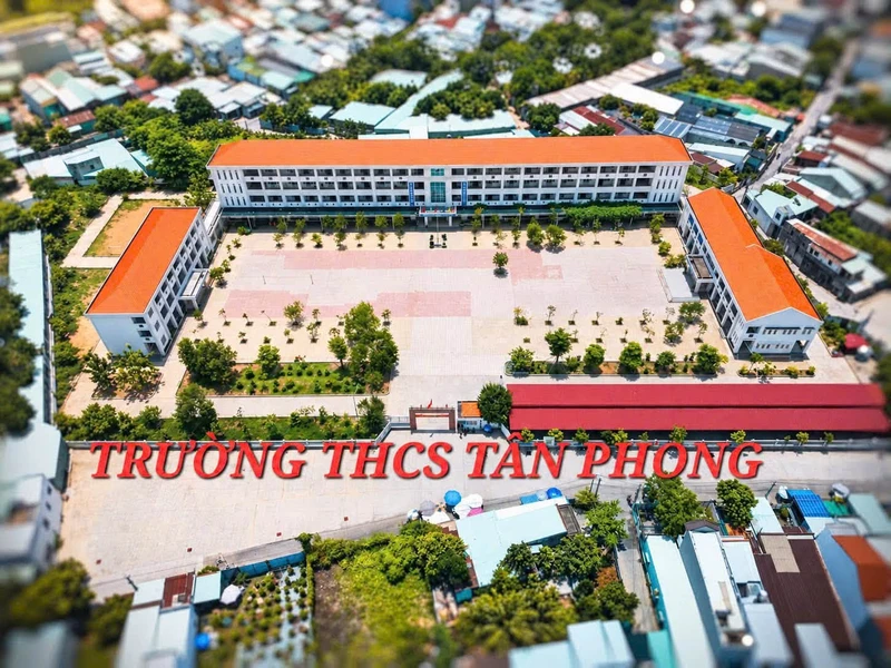 Bán lô đất 203m2 Phường Tân Triều, Đồng Nai