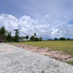 Bán đất 2.385m2 (500m2 thổ cư) xã Hậu Nghĩa gần dự án Vingroup 930 ha, giá 5 tỷ - Ảnh thu nhỏ 3