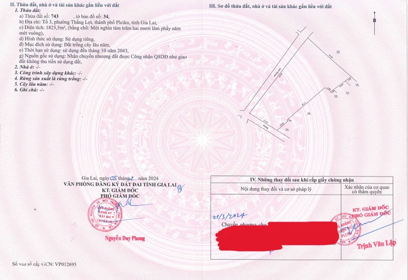 Bán QSDĐ và TS khác gắn liền với đất thuộc thửa 743, TBĐ 34 P.Thắng Lợi, TP.Pleiku, T.Gia Lai