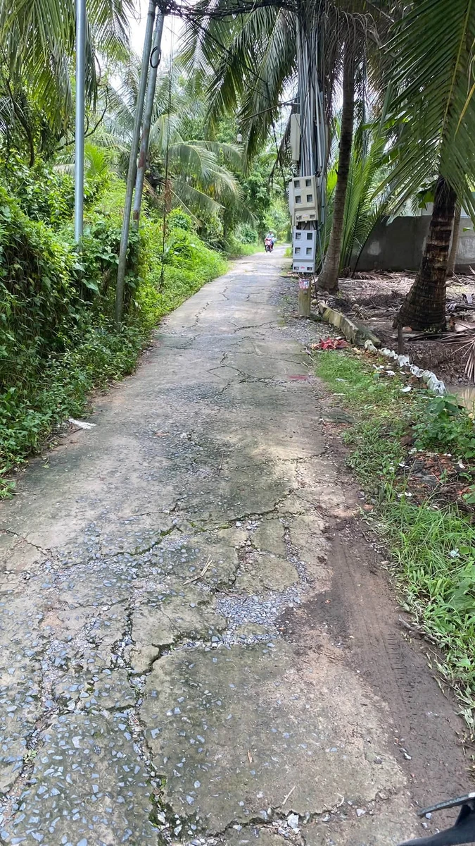 Bán 1000m2 đất xã Phú Nhuận Bến Tre - Ảnh 1