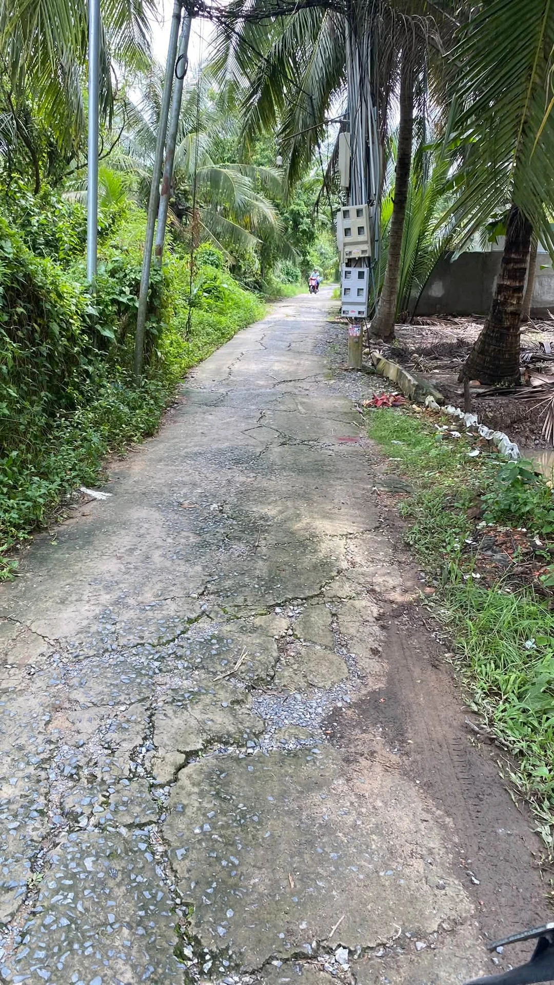 Bán 1000m2 đất xã Phú Nhuận Bến Tre - Ảnh 1