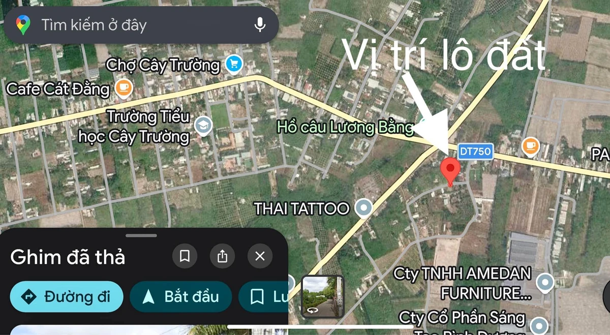 Bán đất ở Trừ Văn Thố 100 m2 - Ảnh thu nhỏ 2