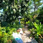 Bán đất hẻm 211 m² Nguyễn Trung Trực, Rạch Giá - Ảnh thu nhỏ 5