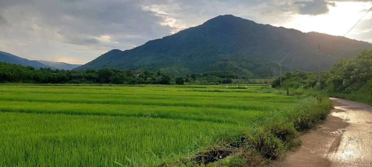 Bán đất xây nhà vườn 468m2 view cánh đồng Xã Hòa Phú - Ảnh thu nhỏ 3