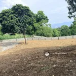 Bán gấp 2.000m2 có 200m2 thổ cư 2 mặt tiền chạy quanh đất - Ảnh thu nhỏ 11