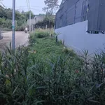 Nhà bán 2 mặt tiền Thạnh Nhất Nhà Bè 255m² 1,65 tỷ - Ảnh thu nhỏ 5