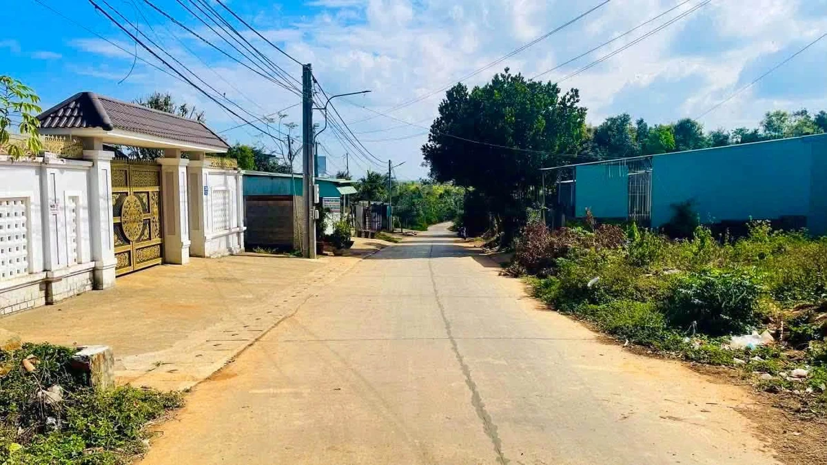 Bán đất hẻm Bùi Dự, 175m², 1 tỷ, Pleiku - Ảnh thu nhỏ 2