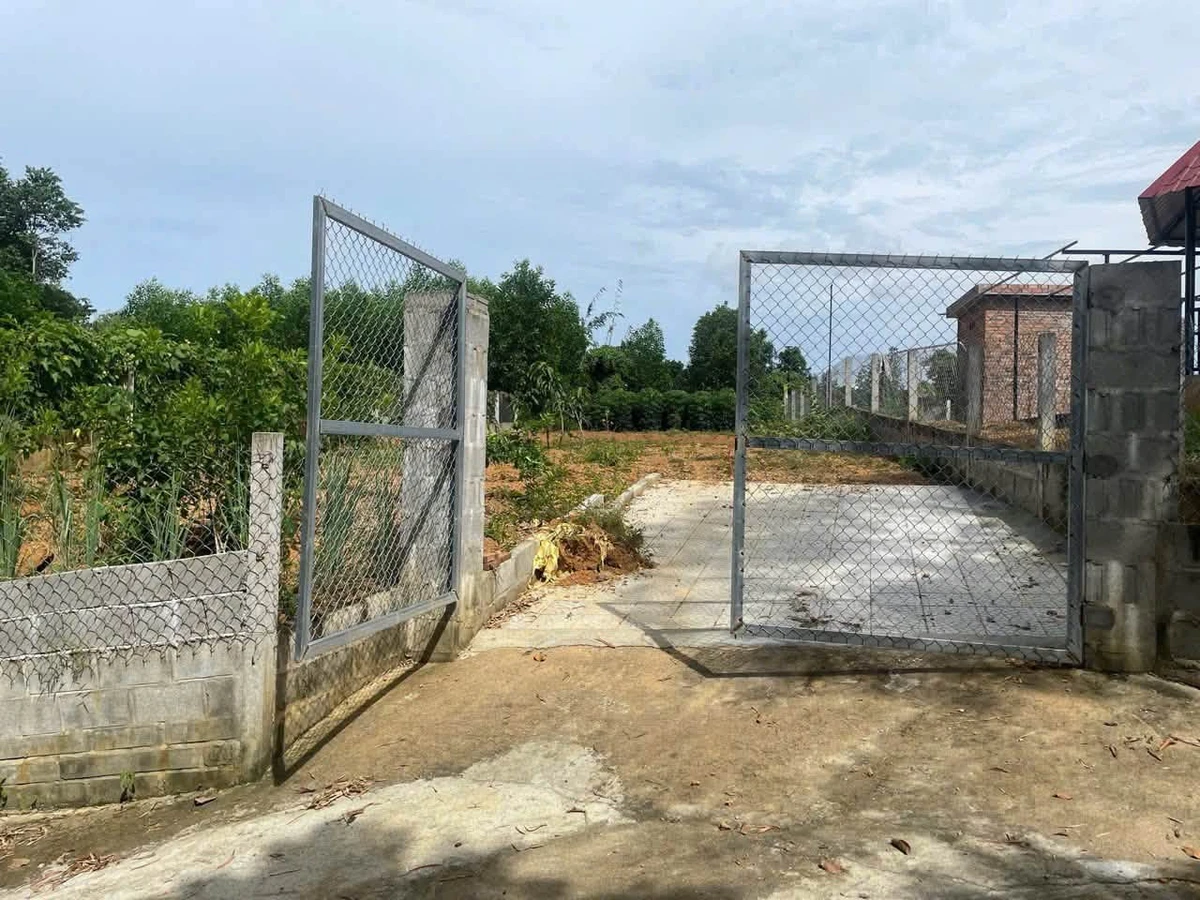 Bán đất 300m2 (150m2 thổ cư) thôn Đông Lâm, xã Hòa Phú, Củ Chi giá 1,55 tỷ - Ảnh thu nhỏ 3