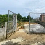 Bán đất 300m2 (150m2 thổ cư) thôn Đông Lâm, xã Hòa Phú, Củ Chi giá 1,55 tỷ - Ảnh thu nhỏ 3