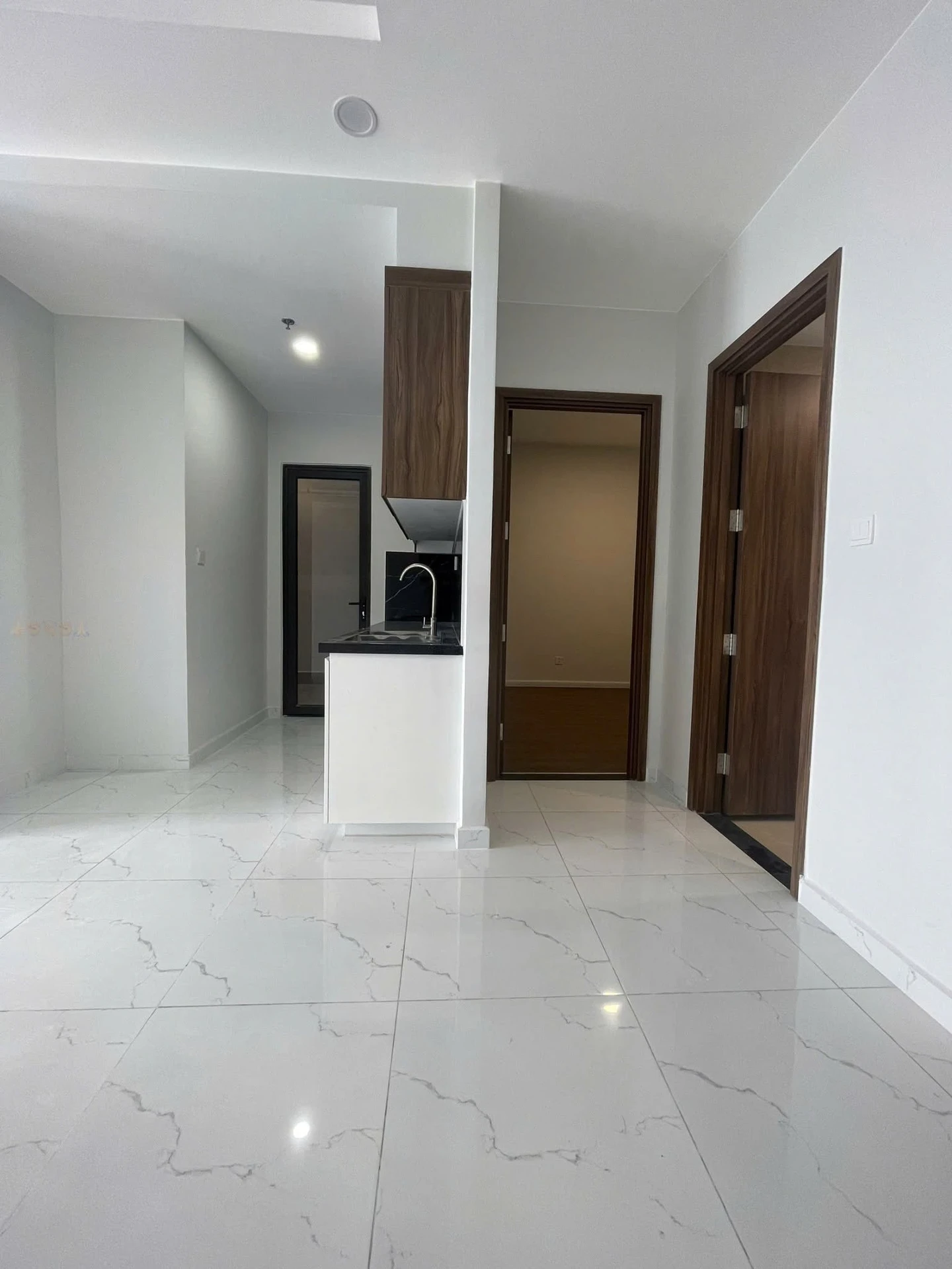 Cho thuê căn hộ 2PN Opal Skyline 65m² chỉ 5 triệu/tháng - Ảnh 1