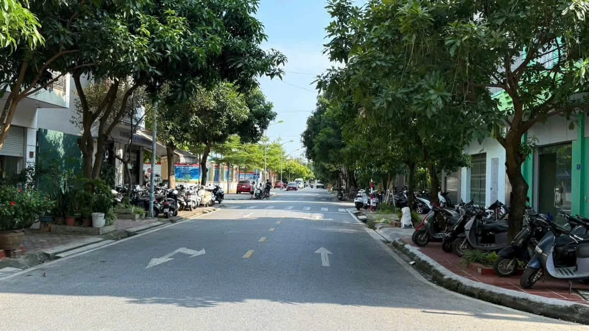 Bán lô đất mặt phố Trần Nguyên Đán 70m², 4,5 tỷ - Ảnh thu nhỏ 2
