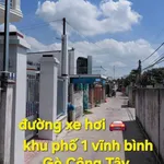 Bán lô đất 125m2 Gò Công Tây Tiền Giang - Ảnh thu nhỏ 4
