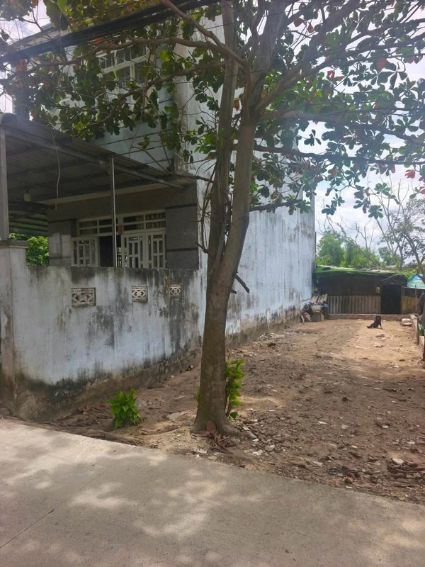Bán đất thổ cư 101m2 xã An Phú Tây, Bình Chánh, giá 2,8 tỷ
