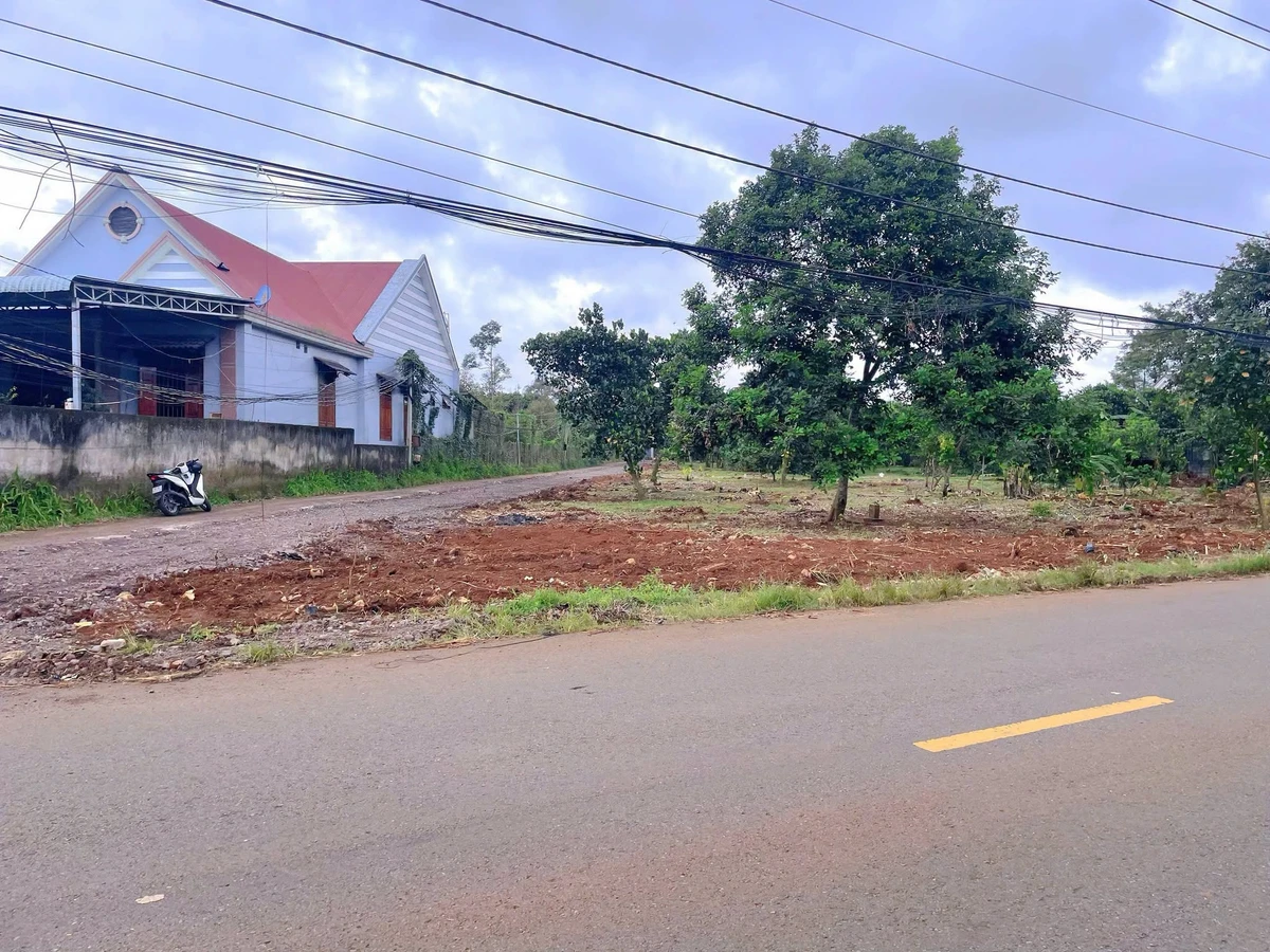 Bán đất ở 500m² Bình Lộc Tín Nghĩa, Bình Dương - Ảnh thu nhỏ 3