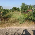 Bán đất Trà Vong 630m² mặt tiền đường nhựa 819 triệu - Ảnh thu nhỏ 1