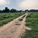 Bán 2 công đất gò 2000m² giá 380 triệu tại An Cơ, Châu Thành, Tây Ninh - Ảnh thu nhỏ 3