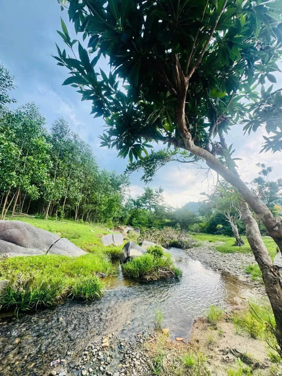 Bán đất Khánh Đông 934m2, giá 699 triệu - Ảnh thu nhỏ 3