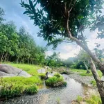 Bán đất Khánh Đông 934m2, giá 699 triệu - Ảnh thu nhỏ 3