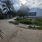 Bán 2 lô đất 60m² Diên Bình Diên Khánh, 518 triệu - Ảnh thu nhỏ 2