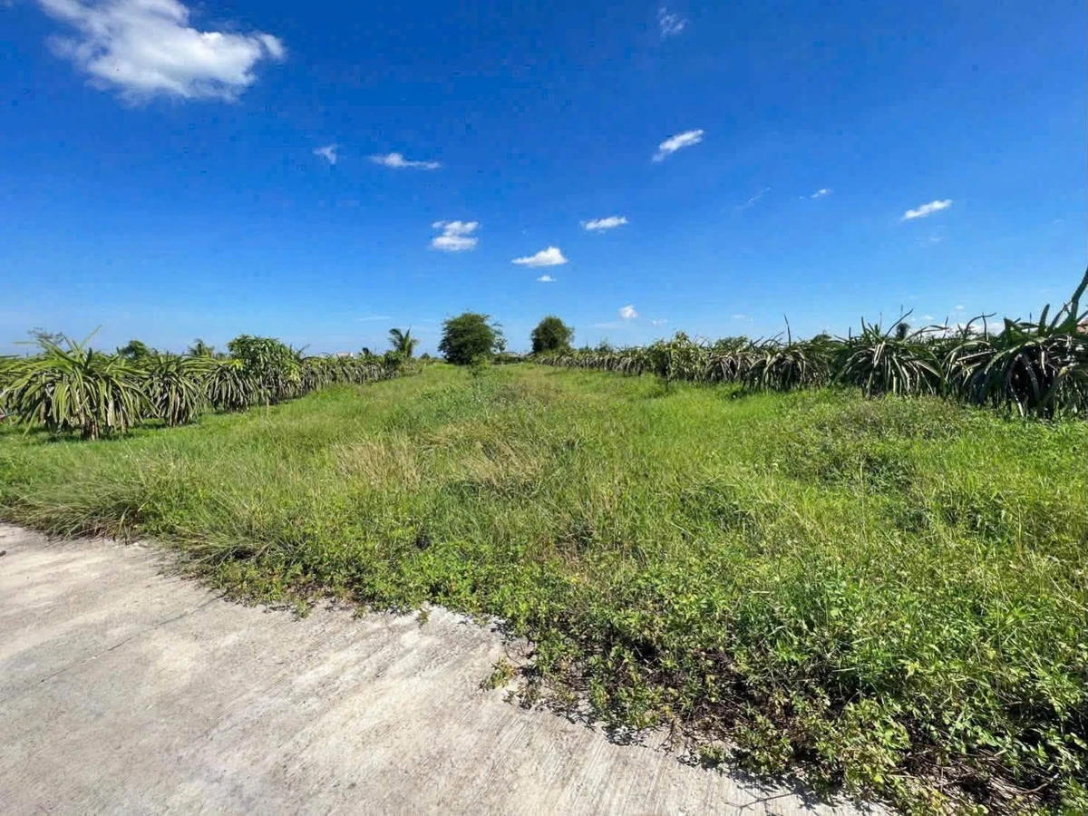 Bán đất 839m² mặt tiền Phan Thiết 479 triệu - Ảnh thu nhỏ 3