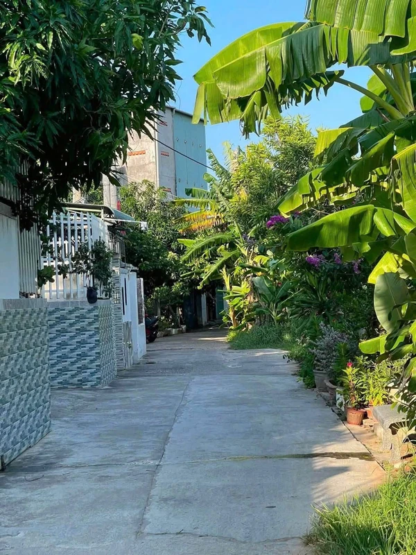 Bán lô đất 100m2 Võ Liêm Sơn Phan Thiết