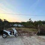 Bán đất vườn 720m² Đồng Xoài 1,4 tỷ - Ảnh thu nhỏ 4