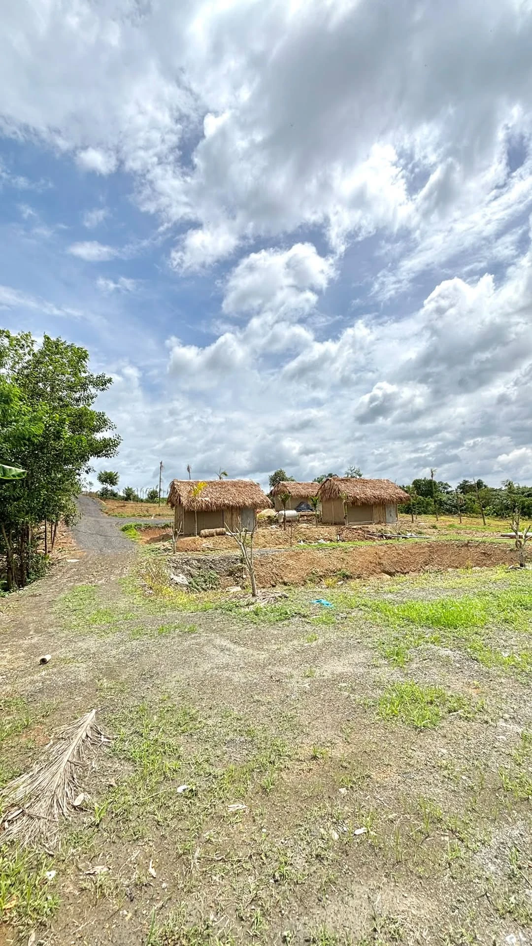 Bán đất farm 1ha view sông Sêrêpôk tại Đắk Lắk - Ảnh 1