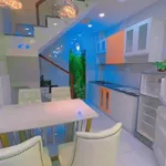 Cho thuê nhà 2PN, 3WC full nội thất đường Lý Thường Kiệt - Ảnh thu nhỏ 2