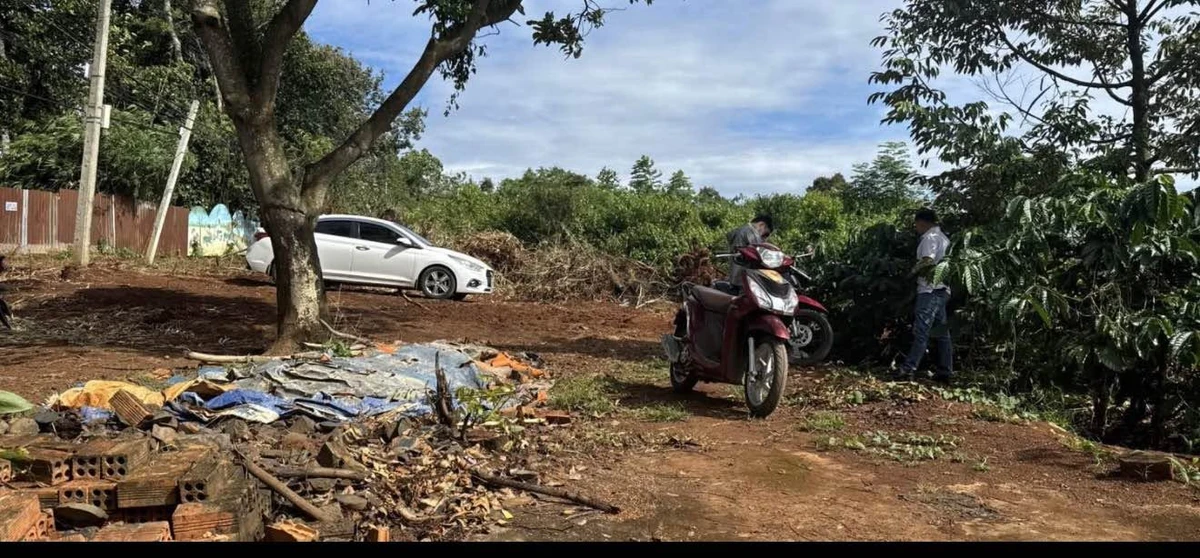 Bán đất Komleo 4 sào, Cần Giờ - Ảnh thu nhỏ 4
